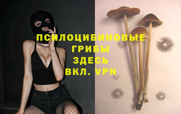 меф Балахна