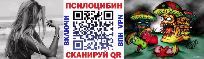 Купить где  Лосино-Петровский  Галлюциногенные грибы MAGIC MUSHROOMS 